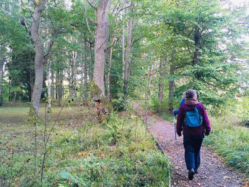 Två personer med ryggsäckar vandrar i en skog. Grönska runtomkring.